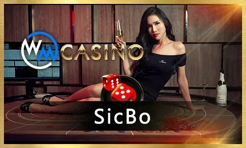 Discover the Fun of Online Bingo at 777plus